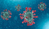 Coronavirus_H-1584022129